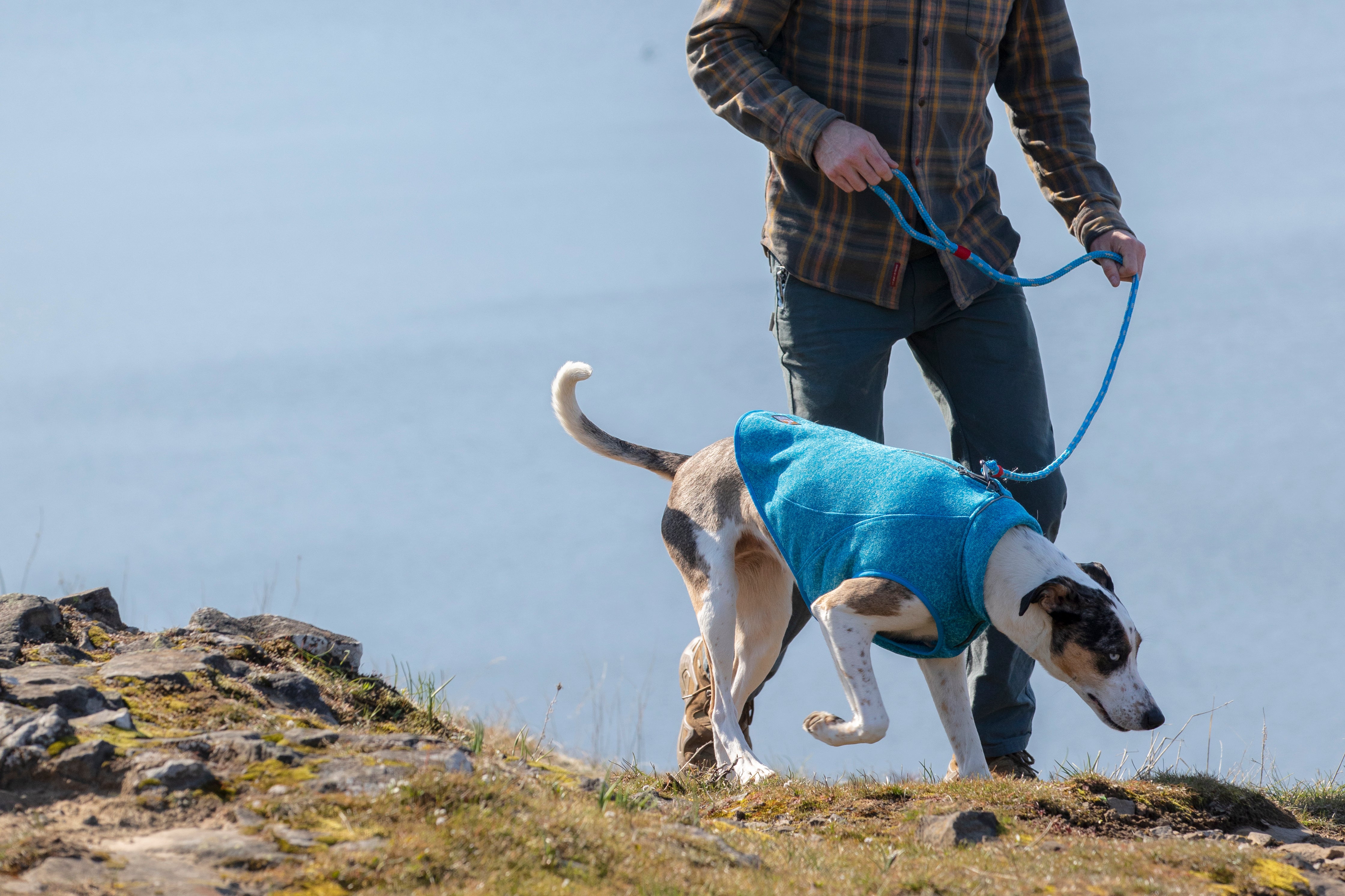 Core Hundepullover von Kurgo - Heather Blue