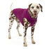 Core Hundepullover von Kurgo - Violet