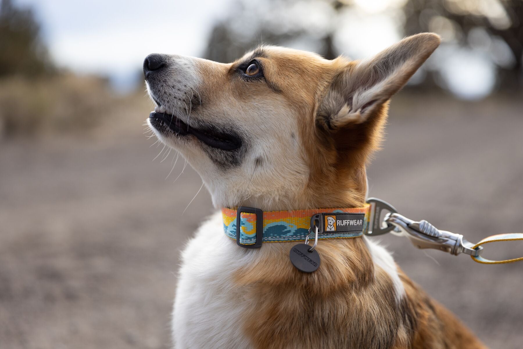 Halsband Crag™ von Ruffwear - Rising Wave