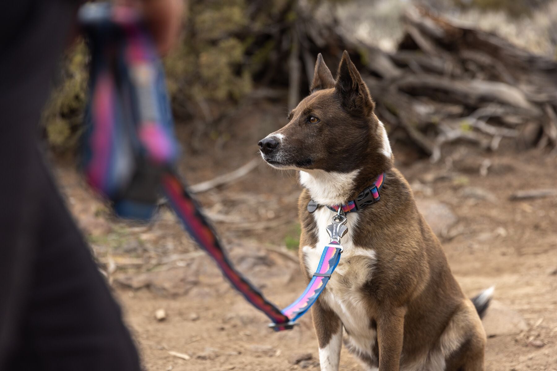 Hundehalsband Crag™ von Ruffwear - Alpine Dusk